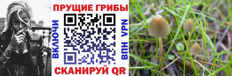 Галлюциногенные грибы мухоморы  Псков 