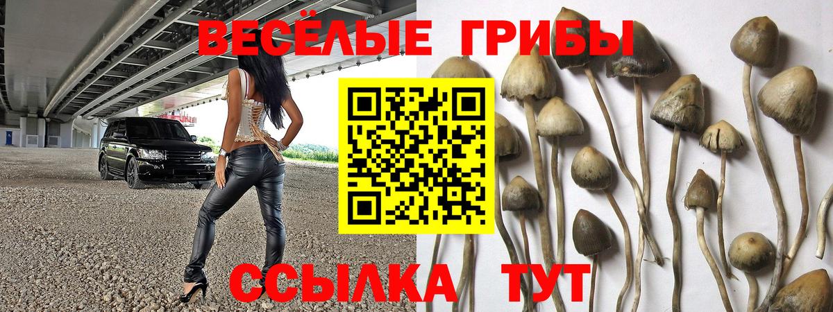 Псилоцибиновые грибы мухоморы Псков