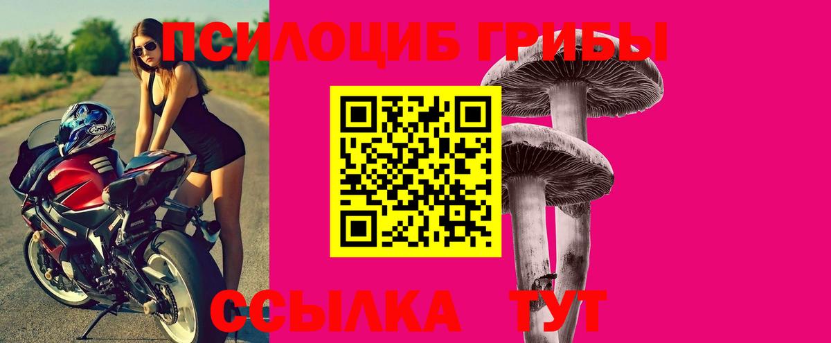 Псилоцибиновые грибы Magic Shrooms  Вход с VPN  Псков 